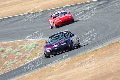 media/May-06-2023-Lucky Dog Racing (Sat) [[8f2256f436]]/Turn 2 10a/